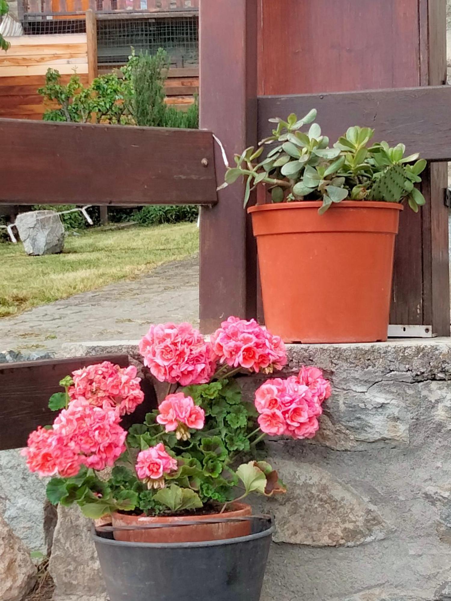 Grand Rive Bed & Breakfast Saint-Pierre Luaran gambar